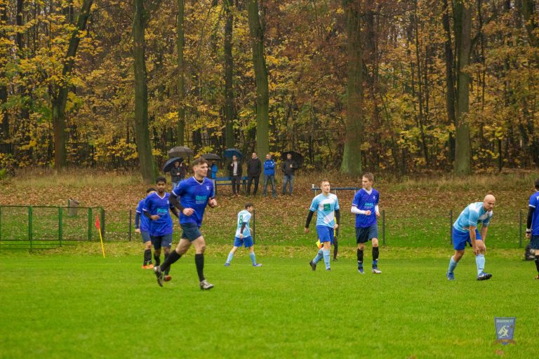 A view of the field and woods in the background in Borek vs Krakow Dragoons FC